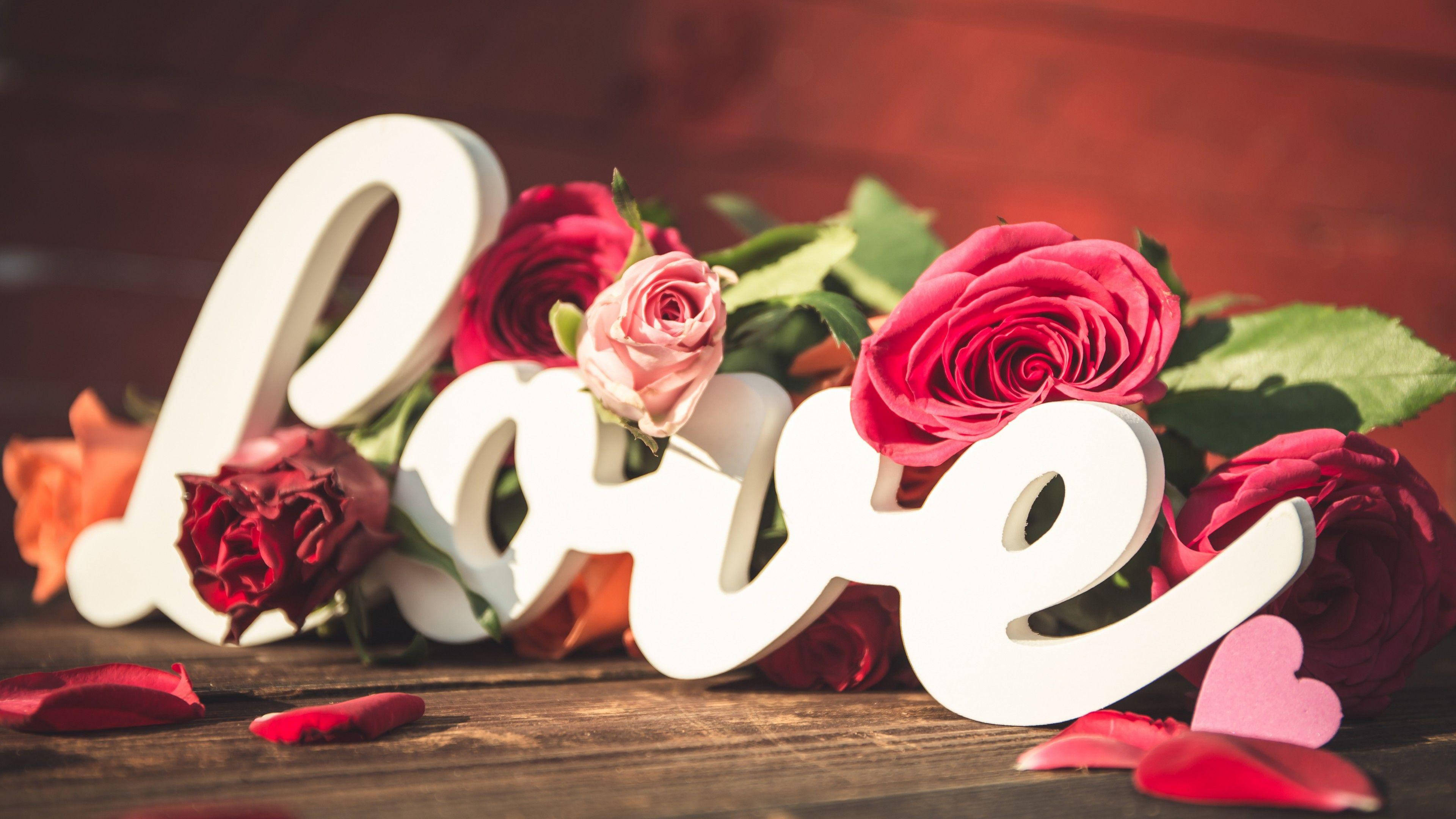 love rose sign, white 'love' letters, vibrant red and pink roses, 4K Desktop Wallpaper