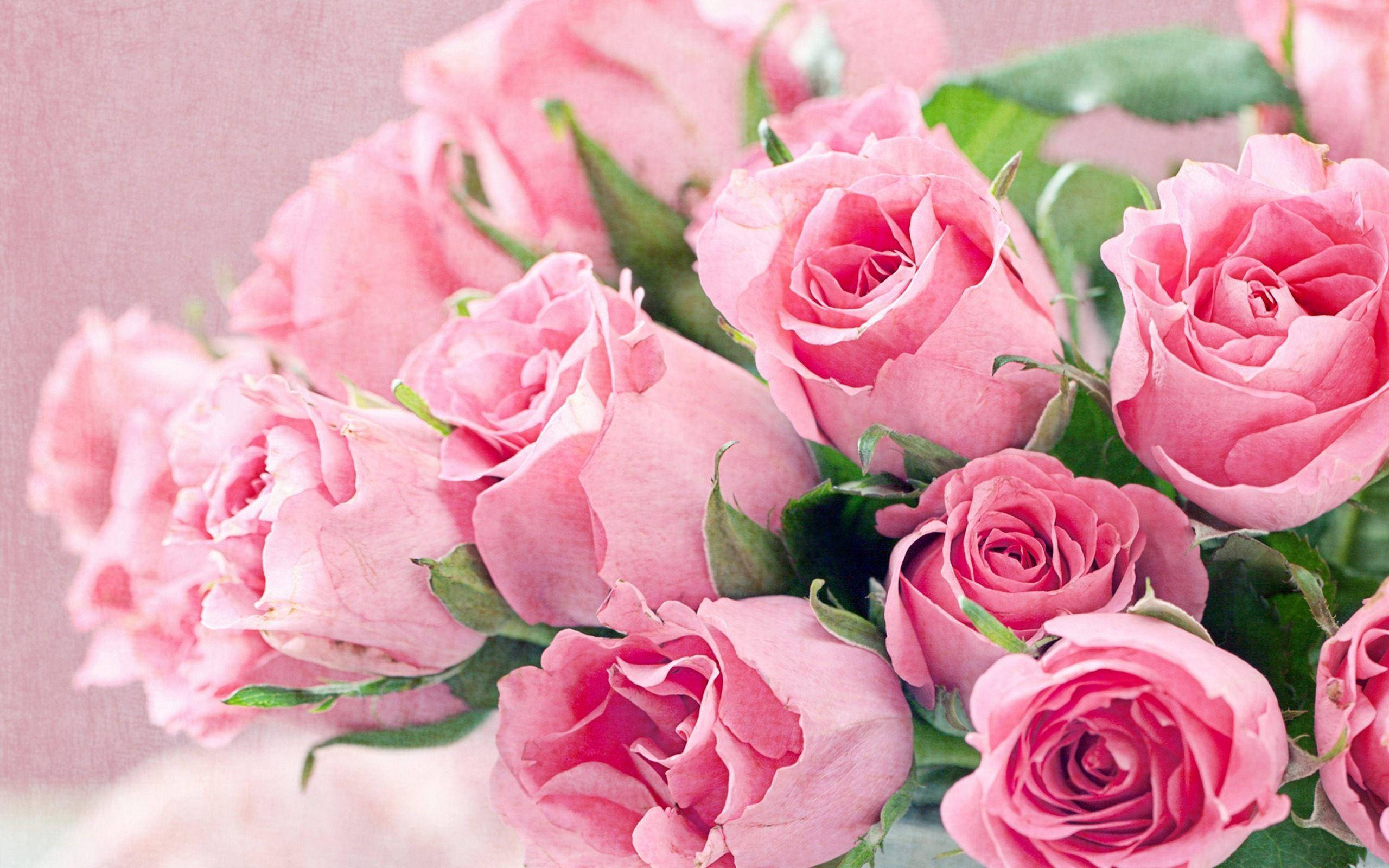 pink flower rose bouquet, lush pink roses, green leaves, 2K Desktop Wallpaper