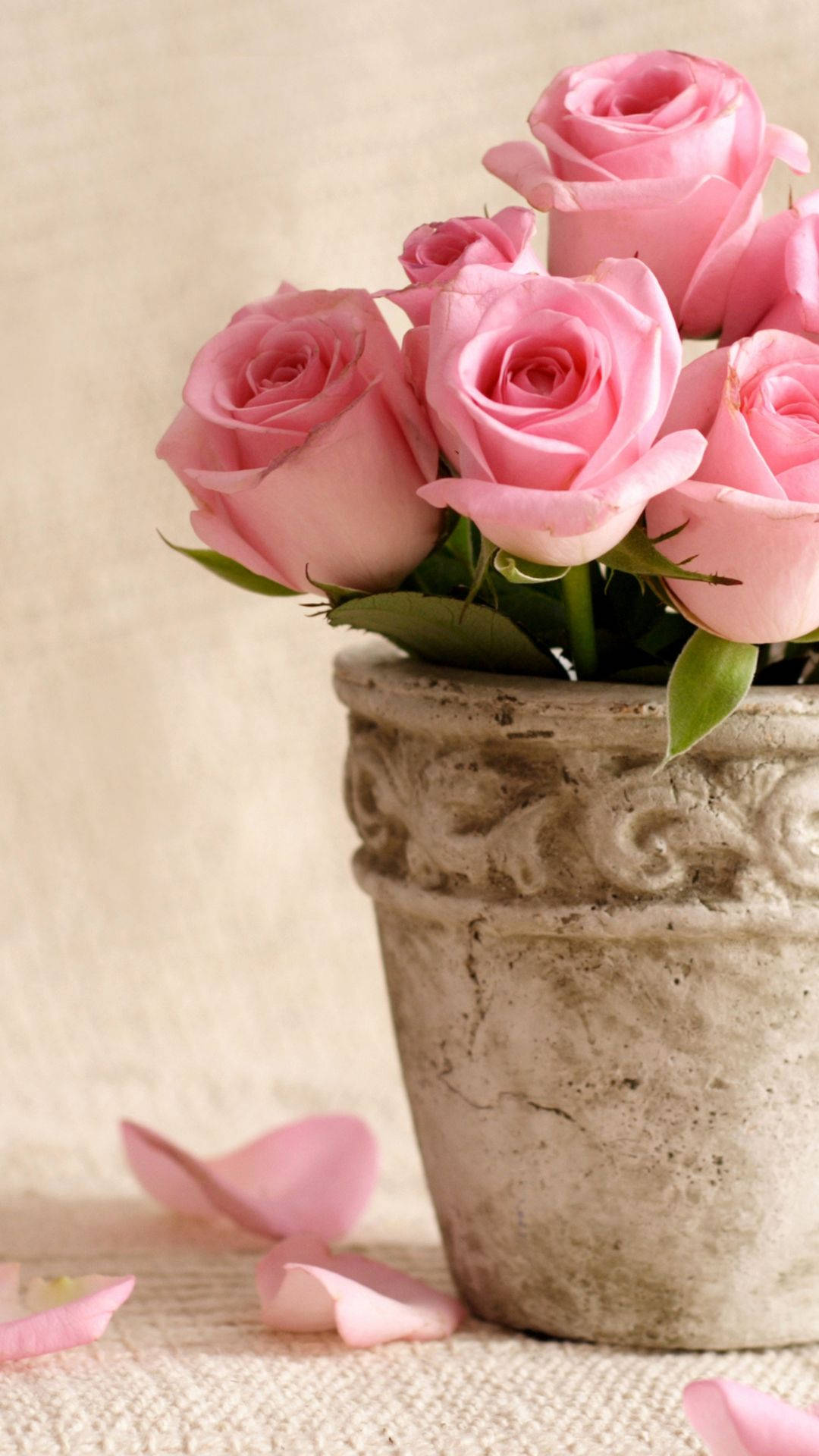 pink roses, flower vase, weathered stone vase, Full HD Phone Wallpaper