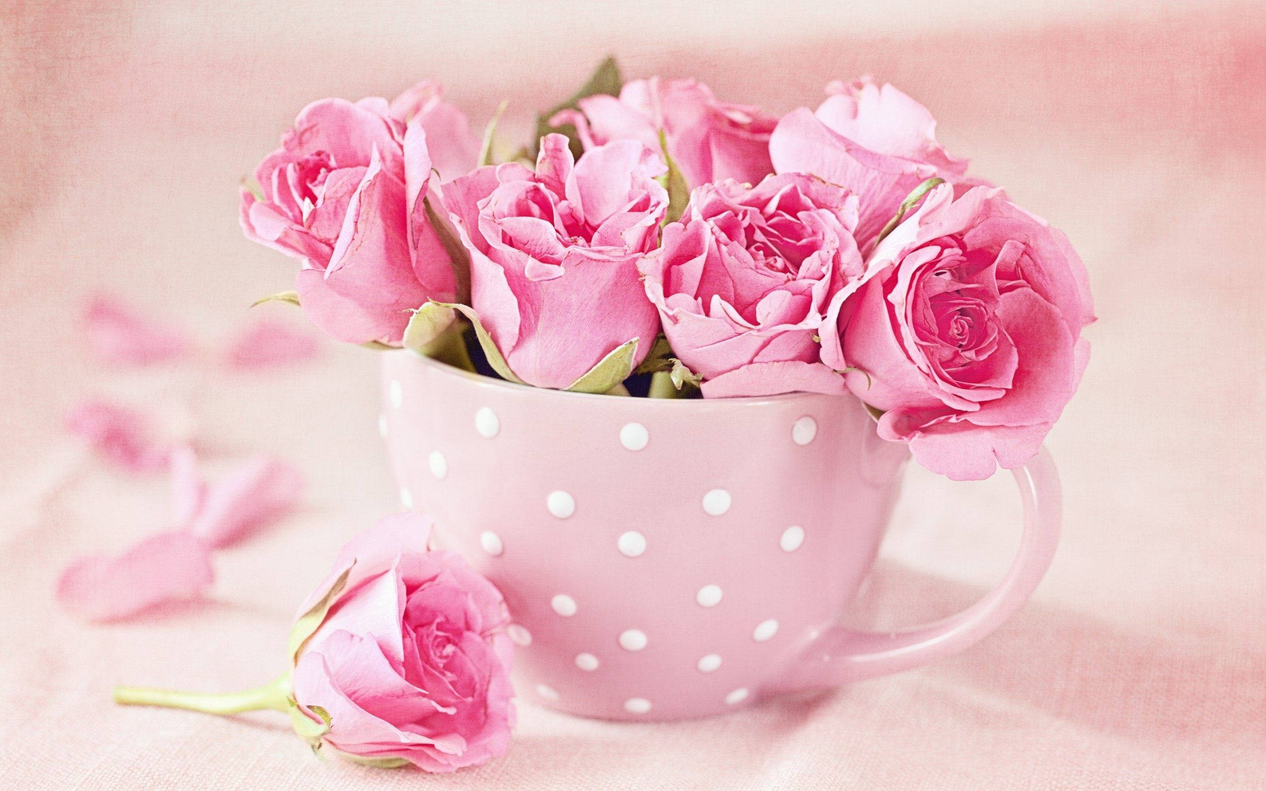 pink roses, pink mug, soft pink polka dot mug, 2K Desktop Wallpaper