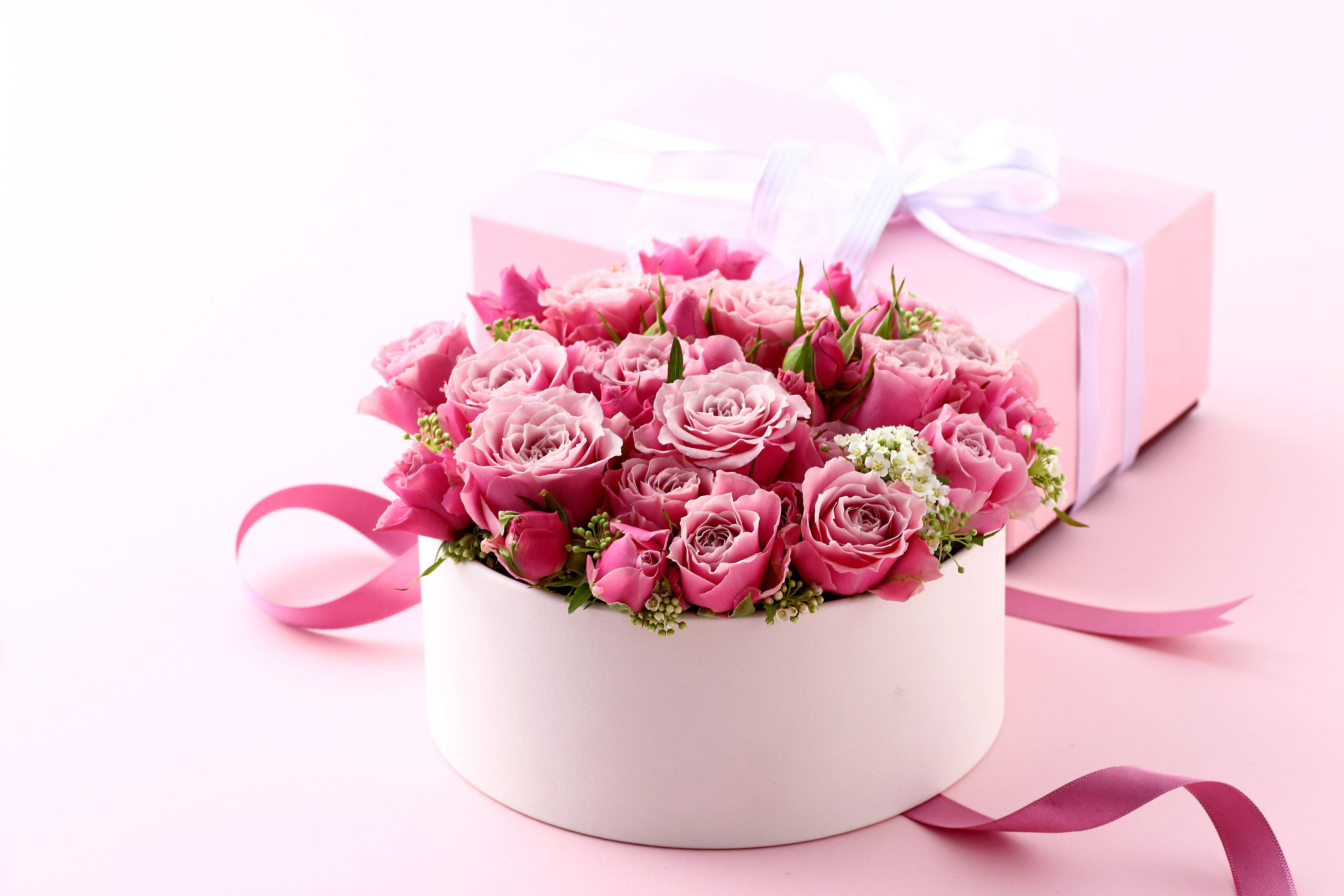 round white box, lush pink roses, delicate white filler blooms, 5K Desktop Wallpaper