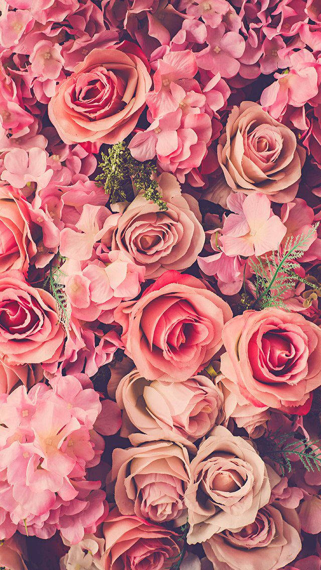 pink roses, hydrangeas, soft greenery, SD Phone Wallpaper