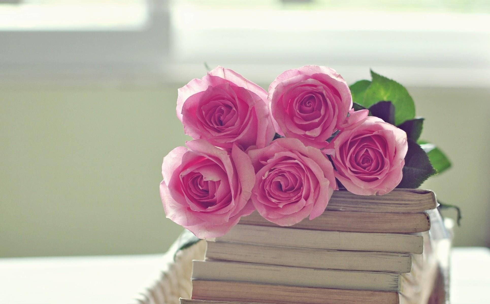 pink roses, vintage books, soft natural light, Full HD Desktop Wallpaper