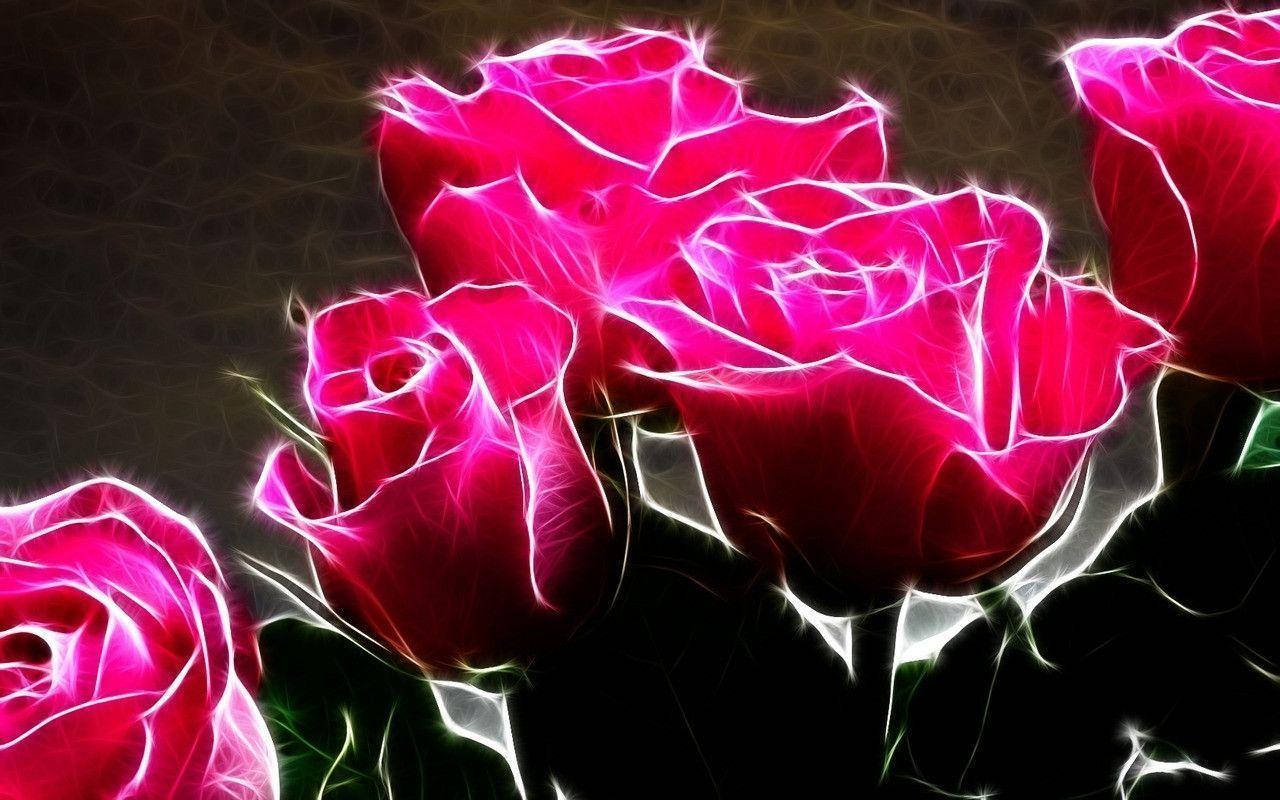 glowing pink roses, electric white outlines, dark textured background, HD Desktop Wallpaper