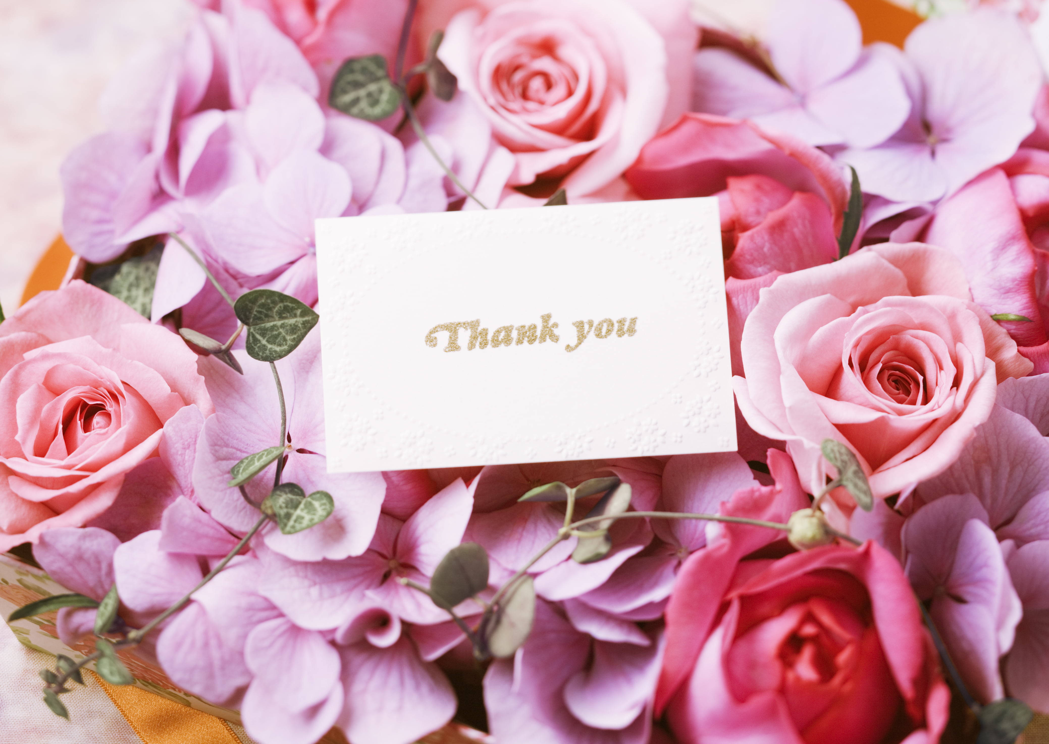 pink roses, hydrangeas, white textured card, 4K Desktop Wallpaper