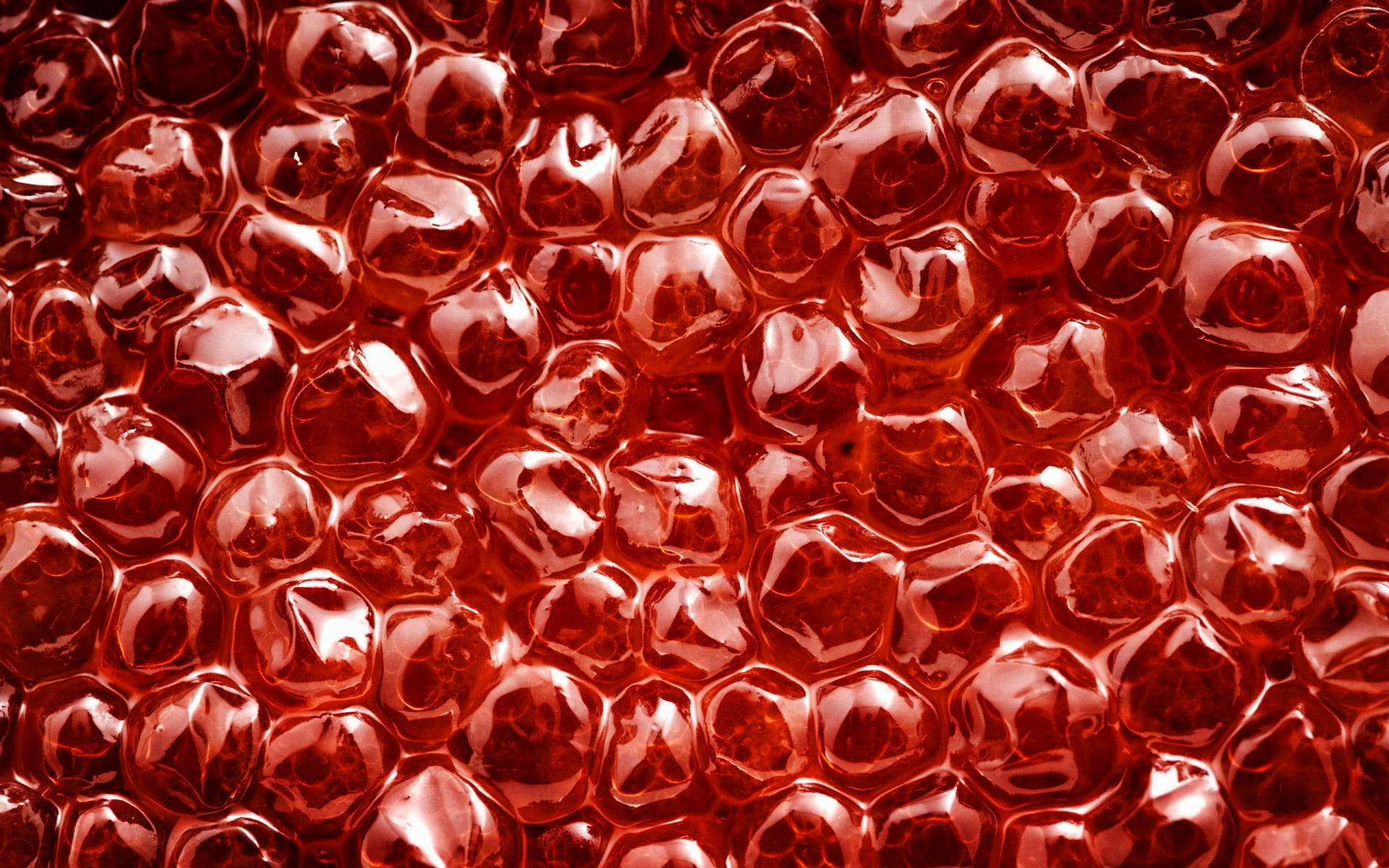 salmon caviar, pink aesthetic, close-up, Full HD Desktop Wallpaper