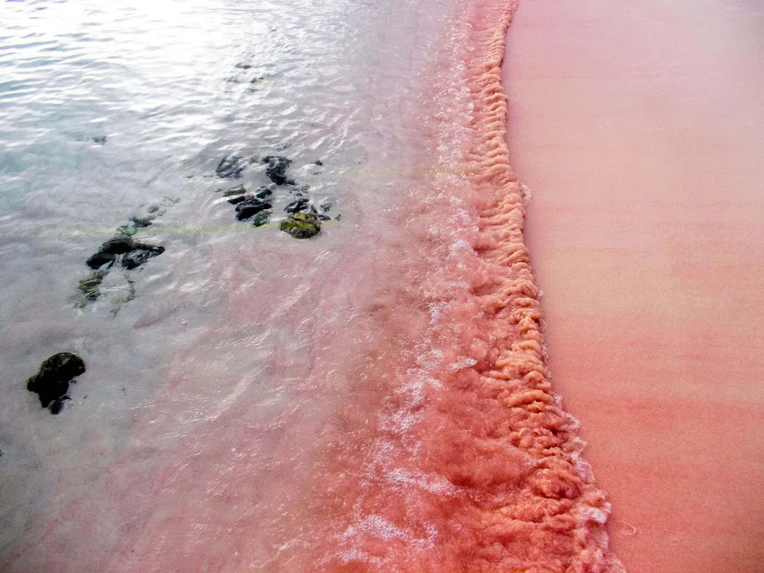 Pink Sand Beach