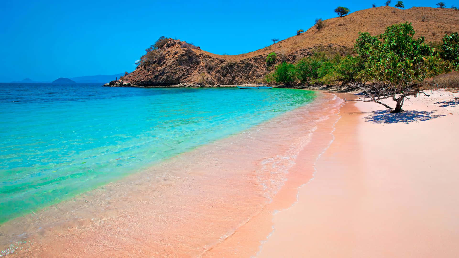 Pink Beach, Turquoise waters, Soft pink sandy beach, Full HD Desktop Wallpaper