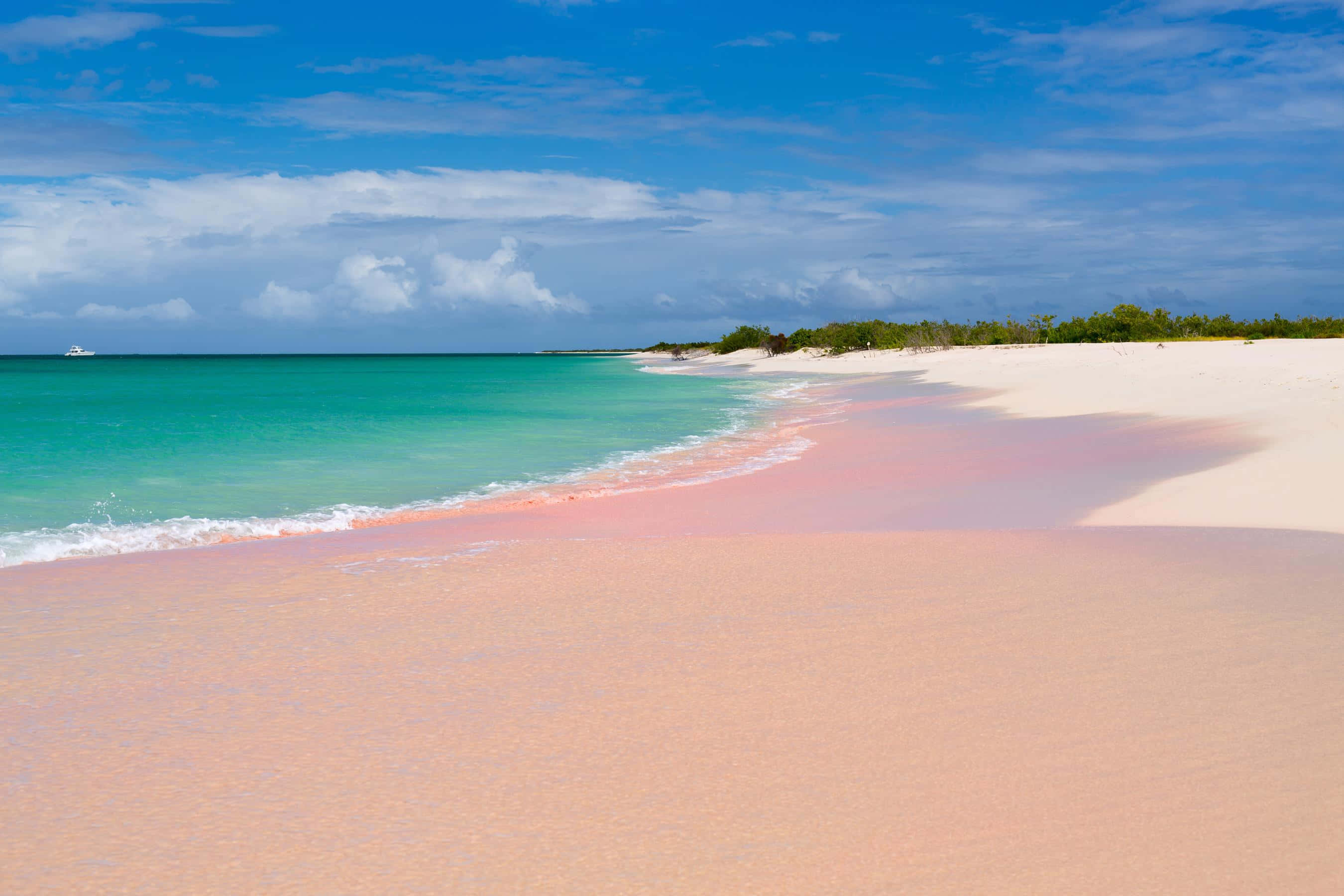 Pink Sand Beach, sunset, pink sand, 2K Desktop Wallpaper