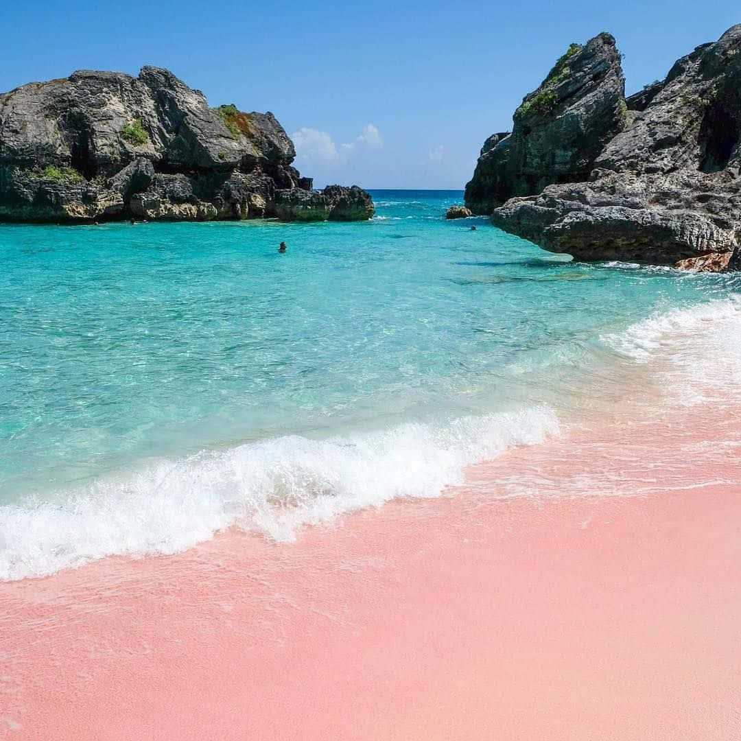 Pink Sand Beach, turquoise waters, rugged gray cliffs, SD Desktop Wallpaper