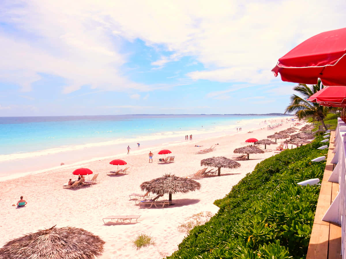 Pink Sand Beach, tropical beach, white sand, SD Desktop Wallpaper