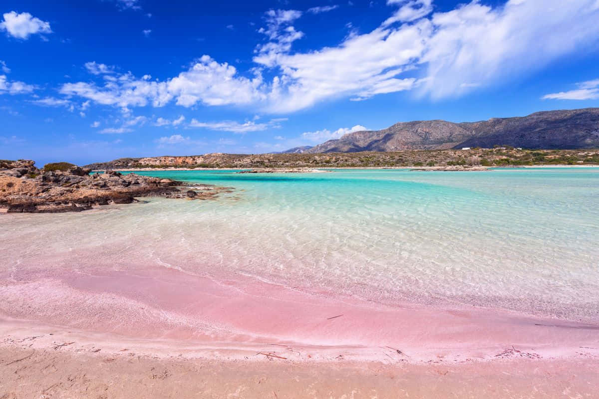 Pink Sand Beach, pink sand, turquoise water, SD Desktop Wallpaper