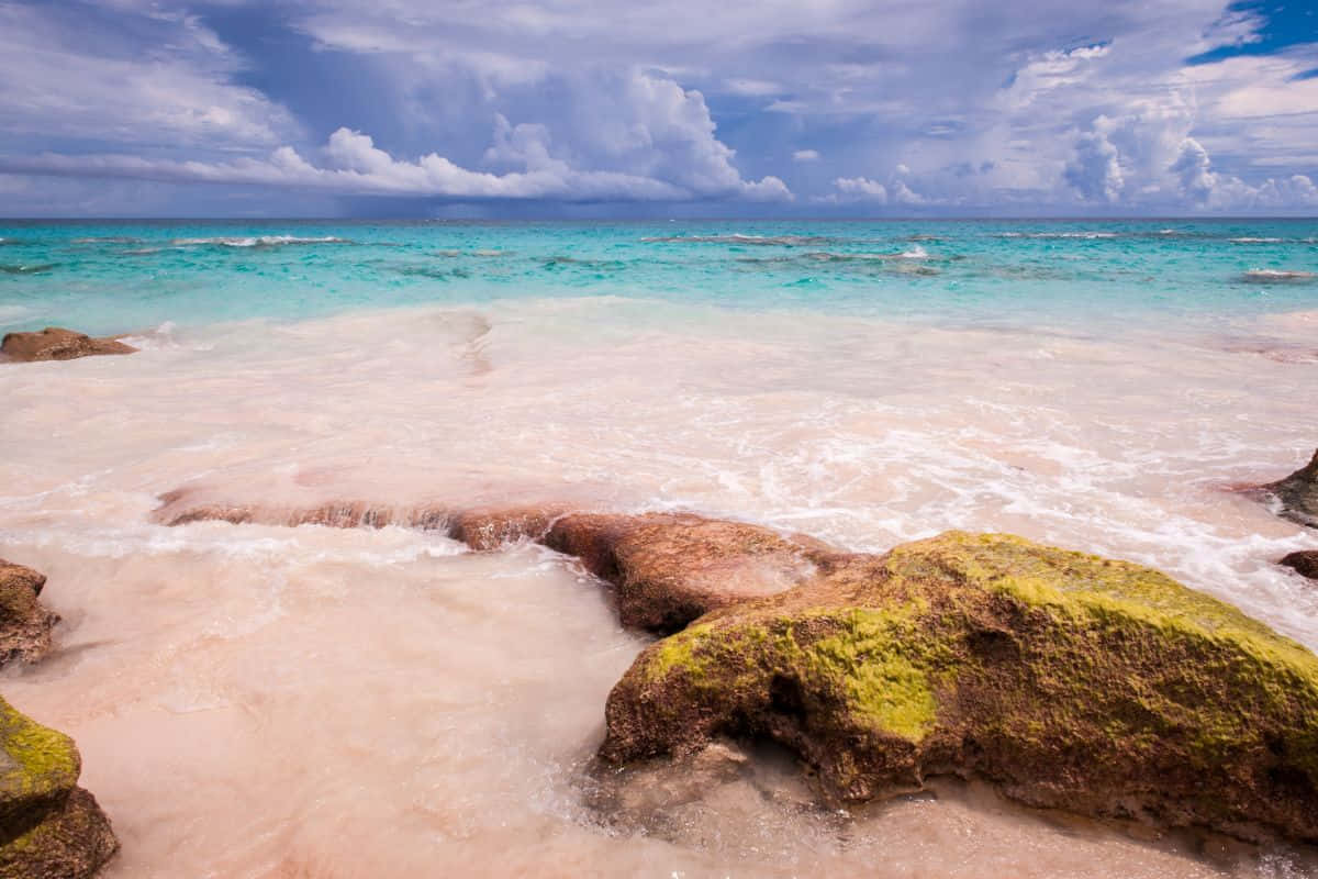 Pink Sand Beach, turquoise waves, mossy rocks, SD Desktop Wallpaper