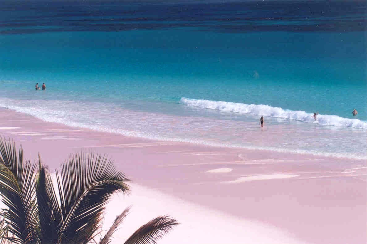 Pink Sand Beach, Sunset, turquoise water, SD Desktop Wallpaper