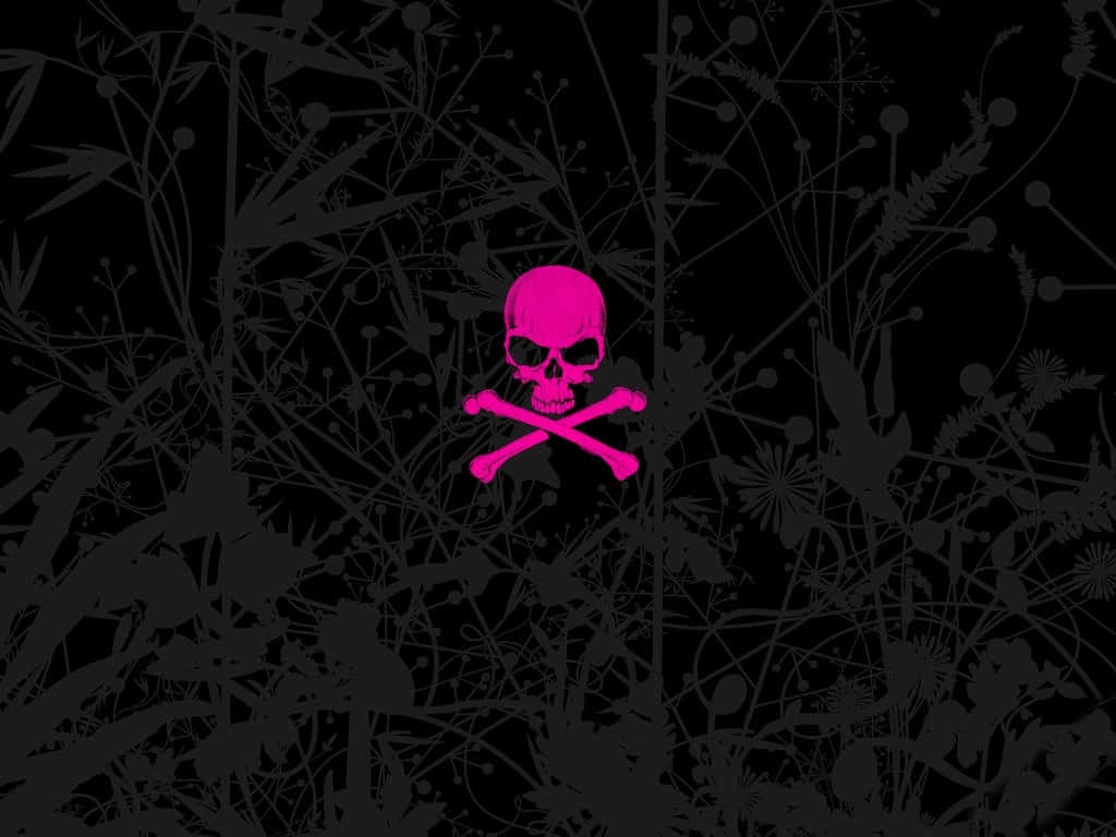 Pink Skull, black background, bright pink skull and crossbones, SD Desktop Wallpaper
