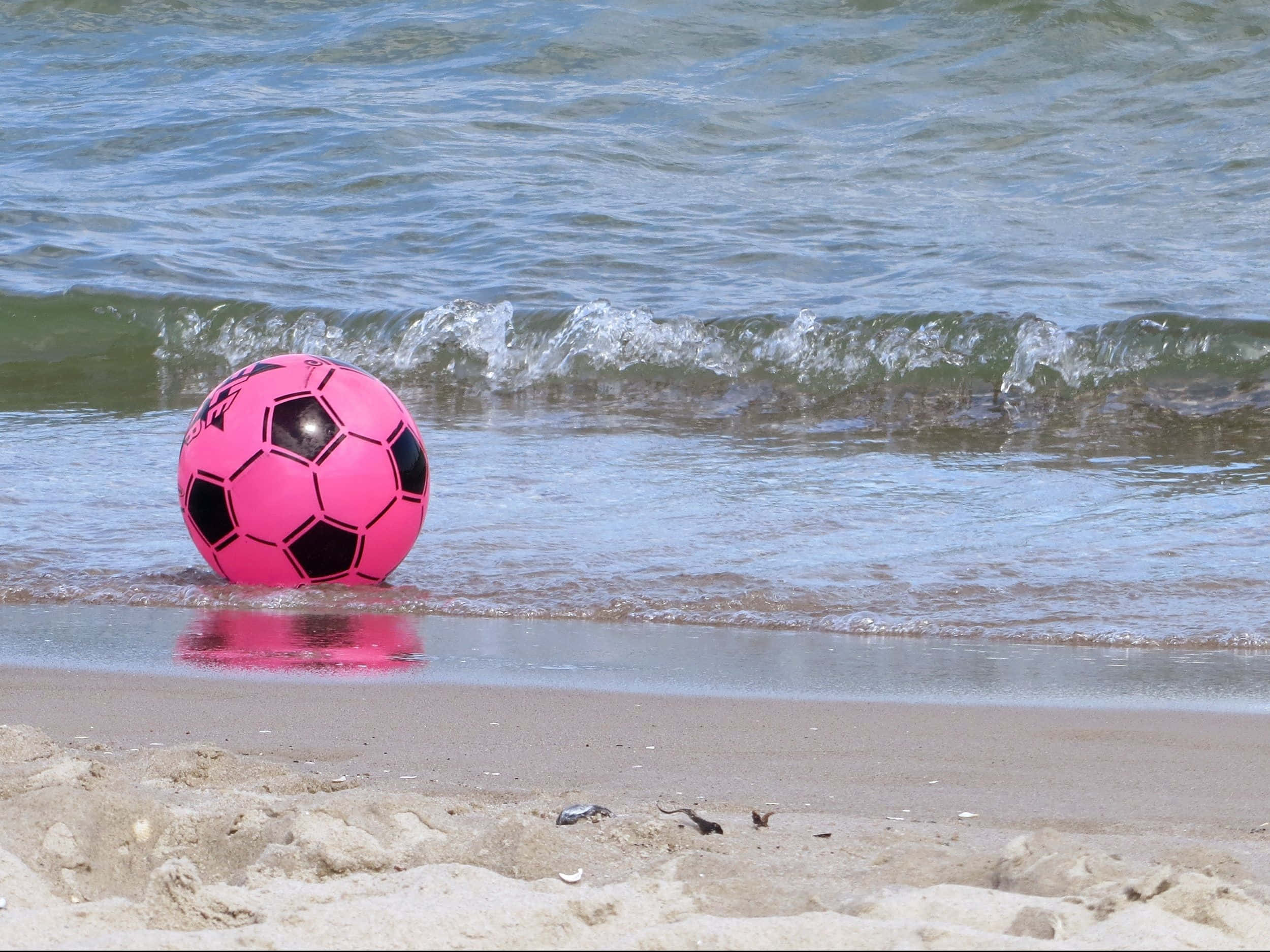 pink soccer ball, water's edge, gentle waves, Full HD Desktop Wallpaper