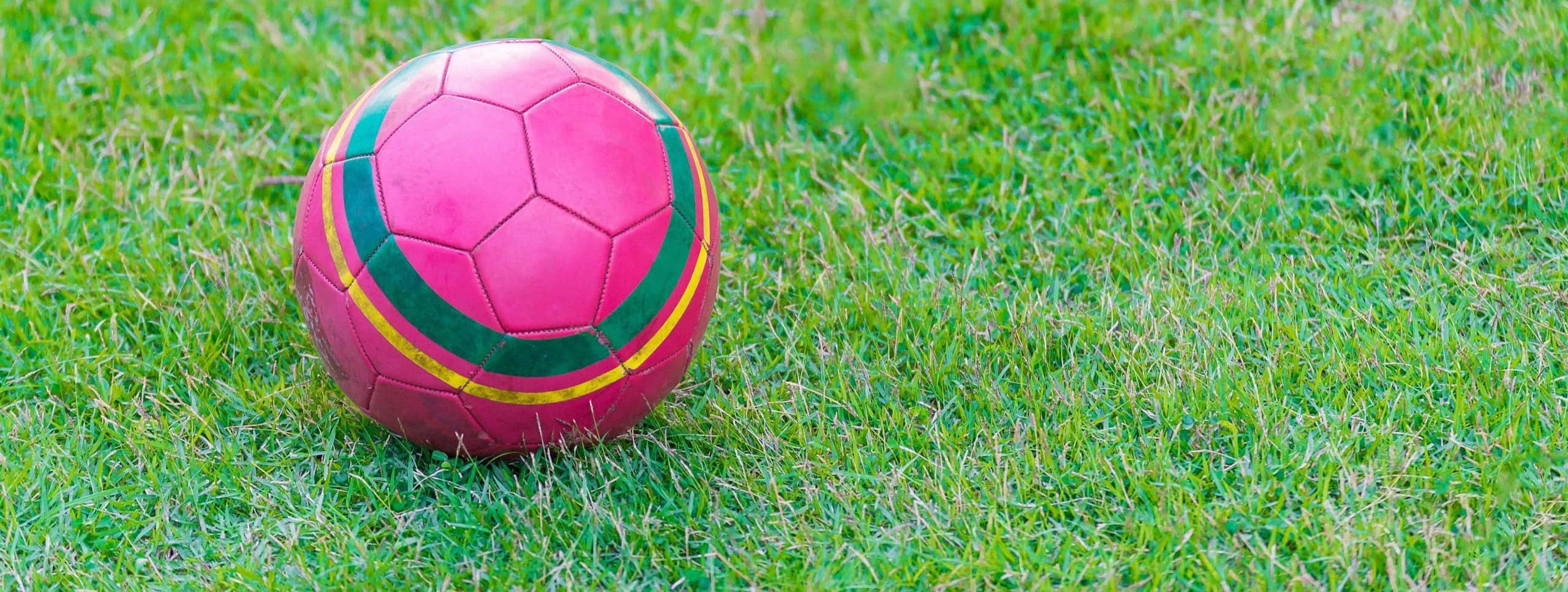 pink soccer ball, green grass, bright daylight, 2K Desktop Wallpaper