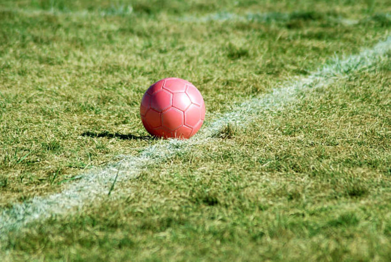 pink soccer ball, sunlit green grass, white boundary line, HD Desktop Wallpaper