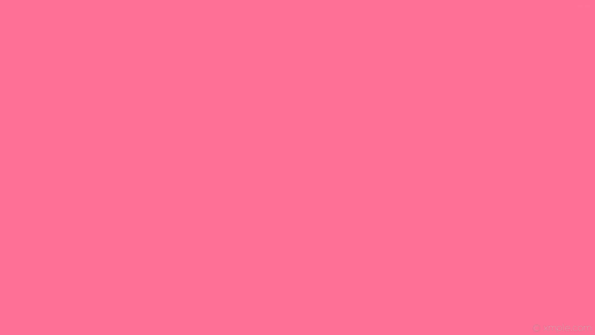 solid pink, vibrant pink, white background, Full HD Desktop Wallpaper