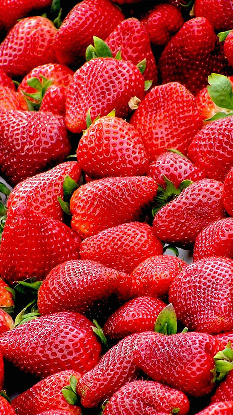 cute strawberry, ripe strawberries, vibrant red hues, HD Phone Wallpaper