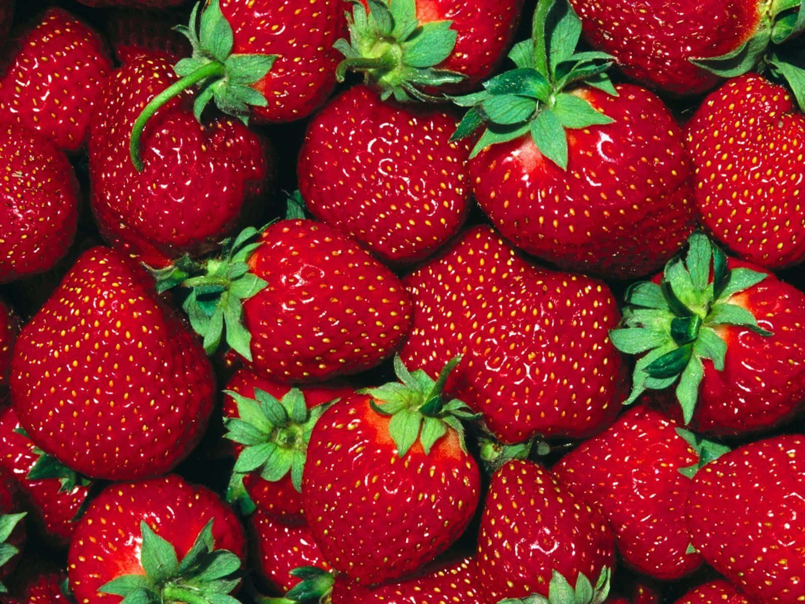 cute strawberry, juicy ripe strawberries, green tops, HD Desktop Wallpaper