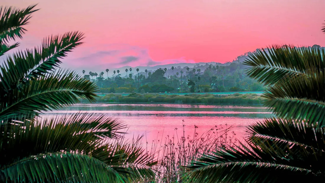 Pink Summer Aesthetic