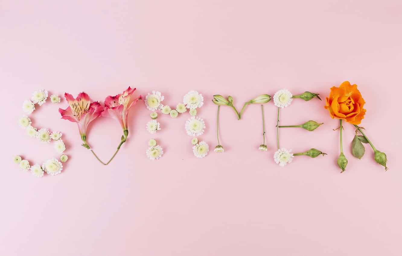 Pink Summer Aesthetic, summer, flowers, HD Desktop Wallpaper