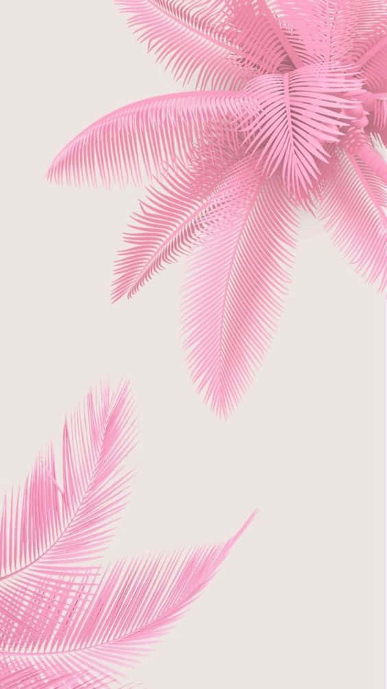 Pink Summer, pink palm fronds, soft beige background, SD Phone Wallpaper