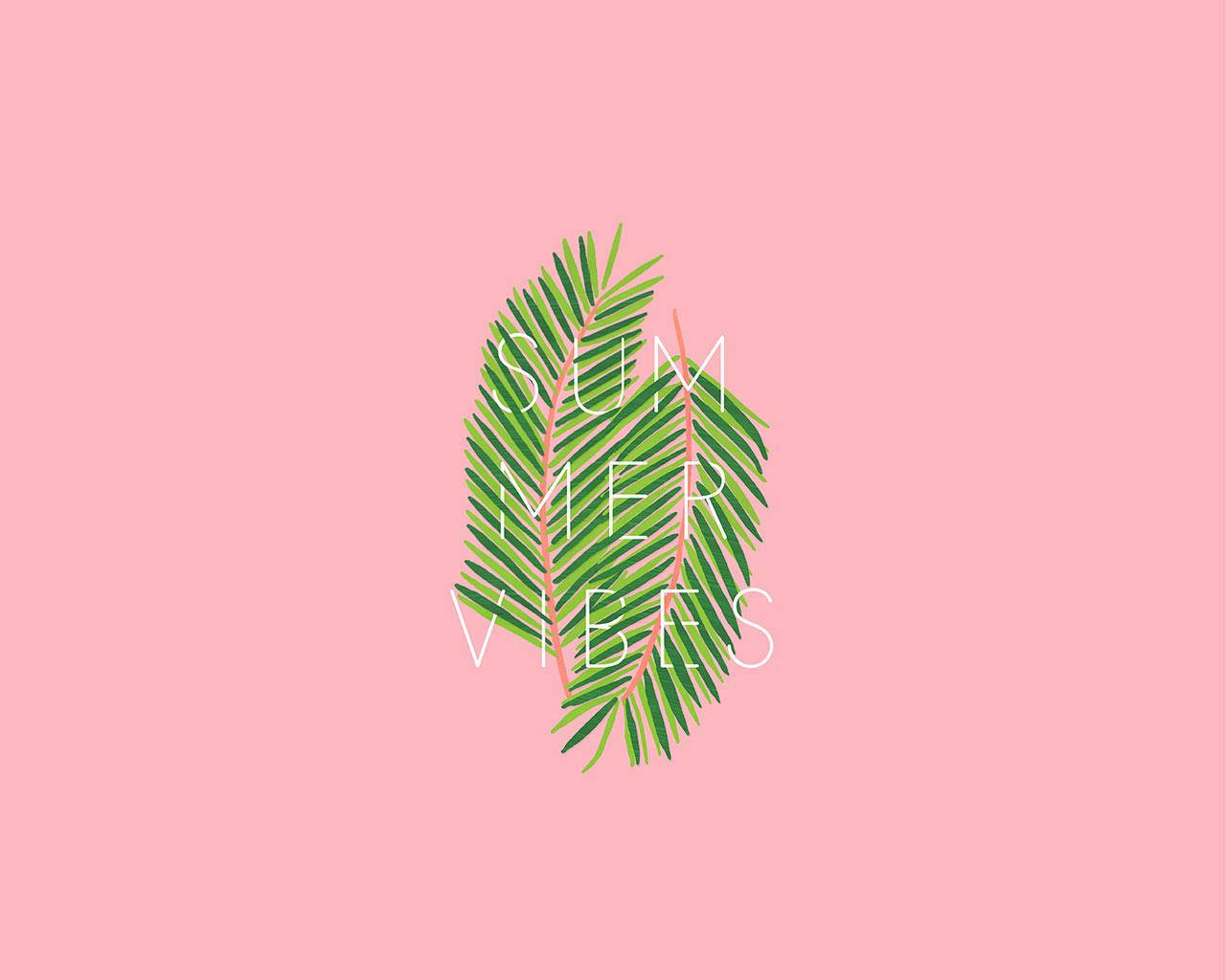 pink summer vibes, green palm leaf, white text, HD Desktop Wallpaper