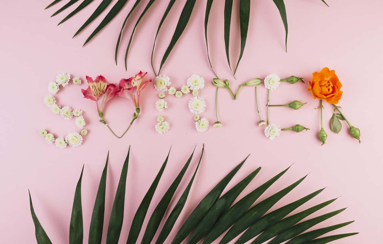 summer, flowers, green leaves, HD Desktop Wallpaper