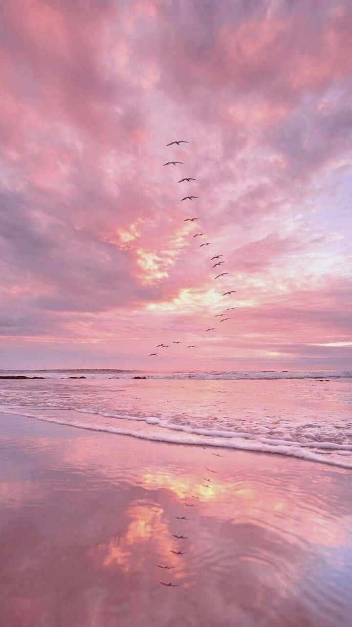pastel pink sunset, wet sand, beach, HD Phone Wallpaper