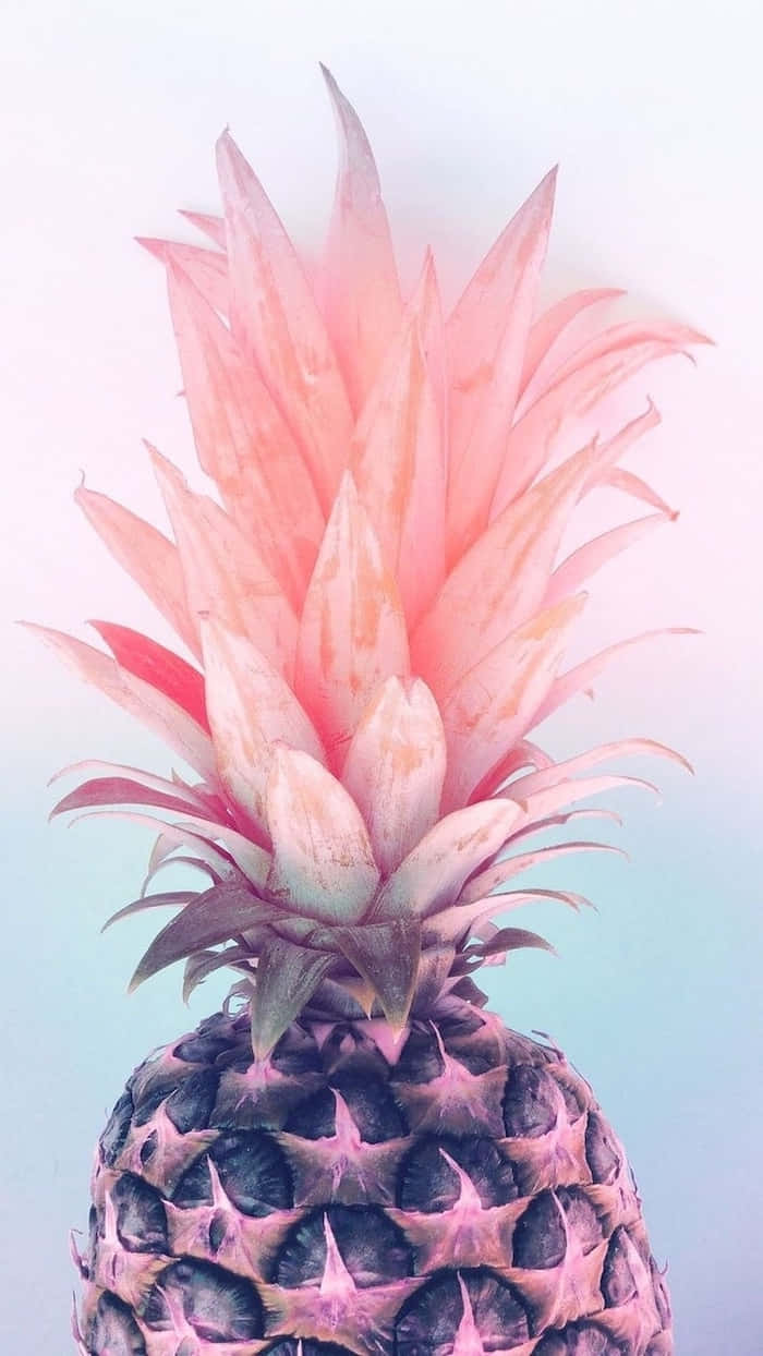 pink pineapple, gradient blush crown, soft pastel sky, SD Phone Wallpaper