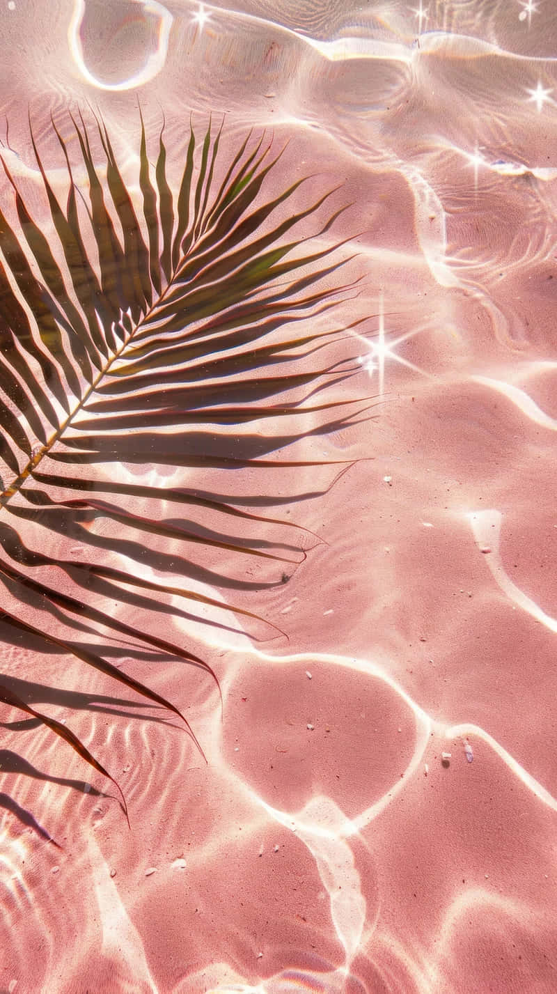 Pink Summer Aesthetic, palm leaf, pink sand, HD Phone Wallpaper