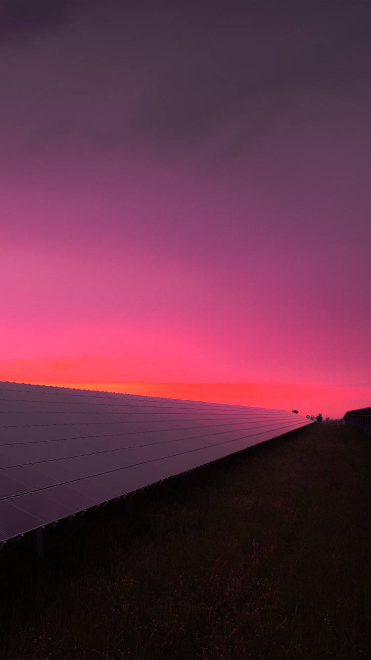 Pink Sunset iPhone, solar panels, field, HD Phone Wallpaper