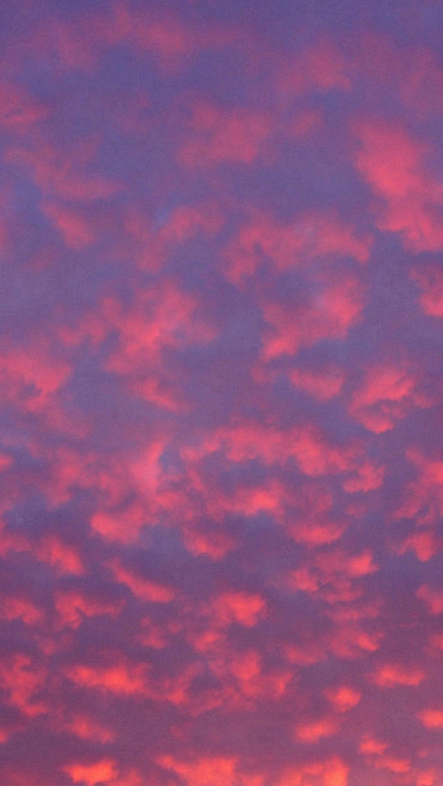 Pink Sunset iPhone, pink sunset, twilight sky, SD Phone Wallpaper