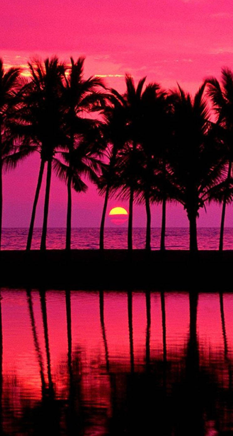 pink sunset, iPhone, palm trees, HD Phone Wallpaper