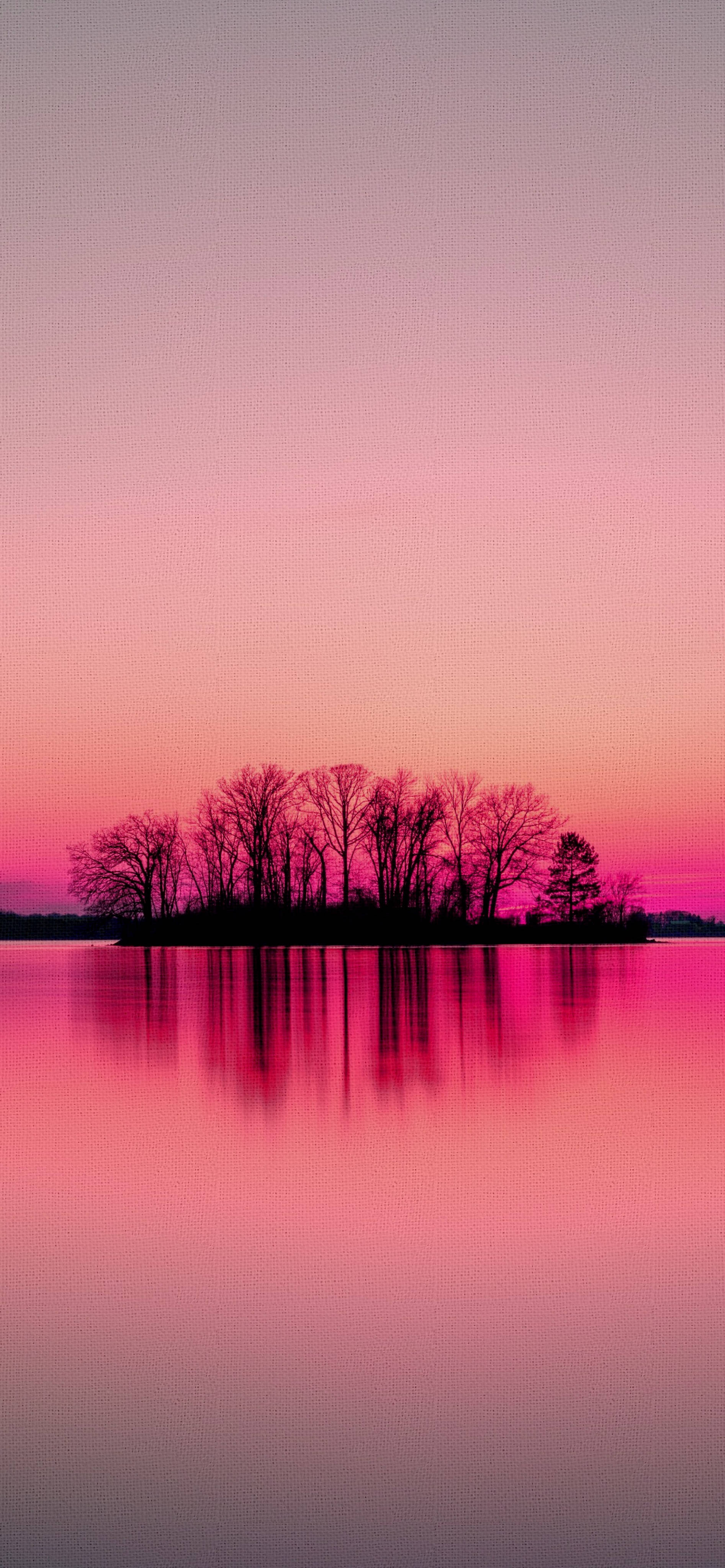 pink sunset, iPhone, silhouetted trees, 4K Phone Wallpaper
