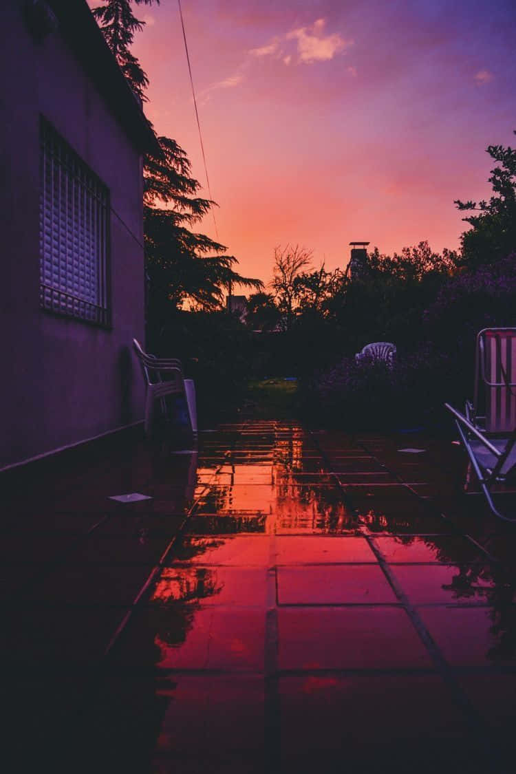 sunset, wet tiled patio, silhouetted trees, SD Phone Wallpaper