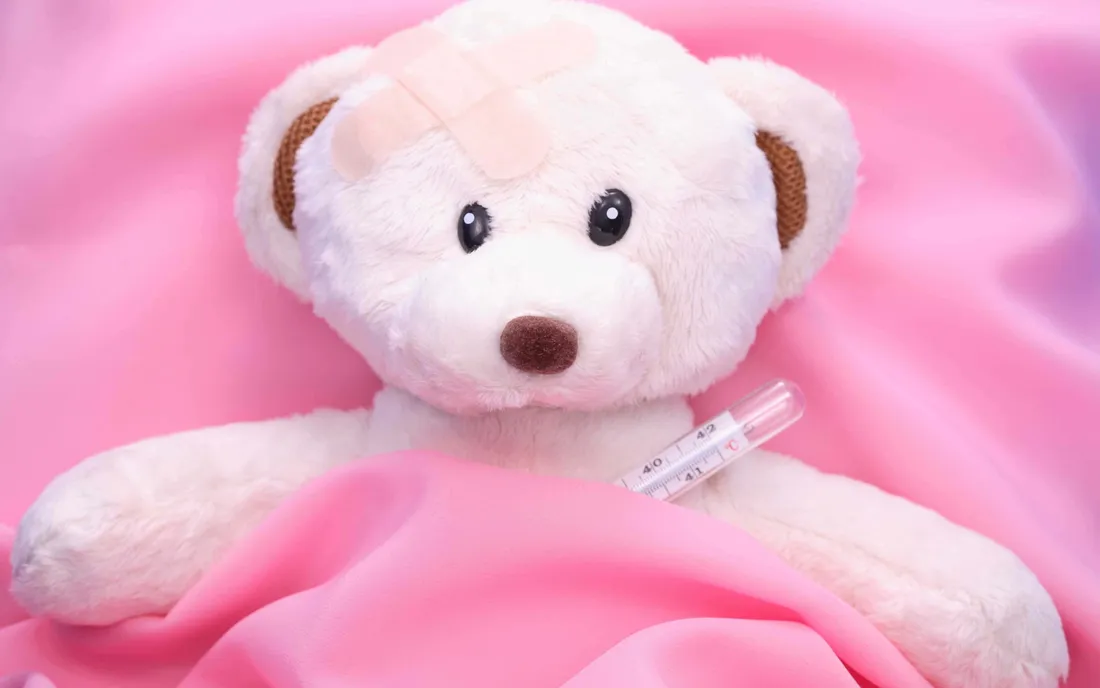 Pink Teddy Bear
