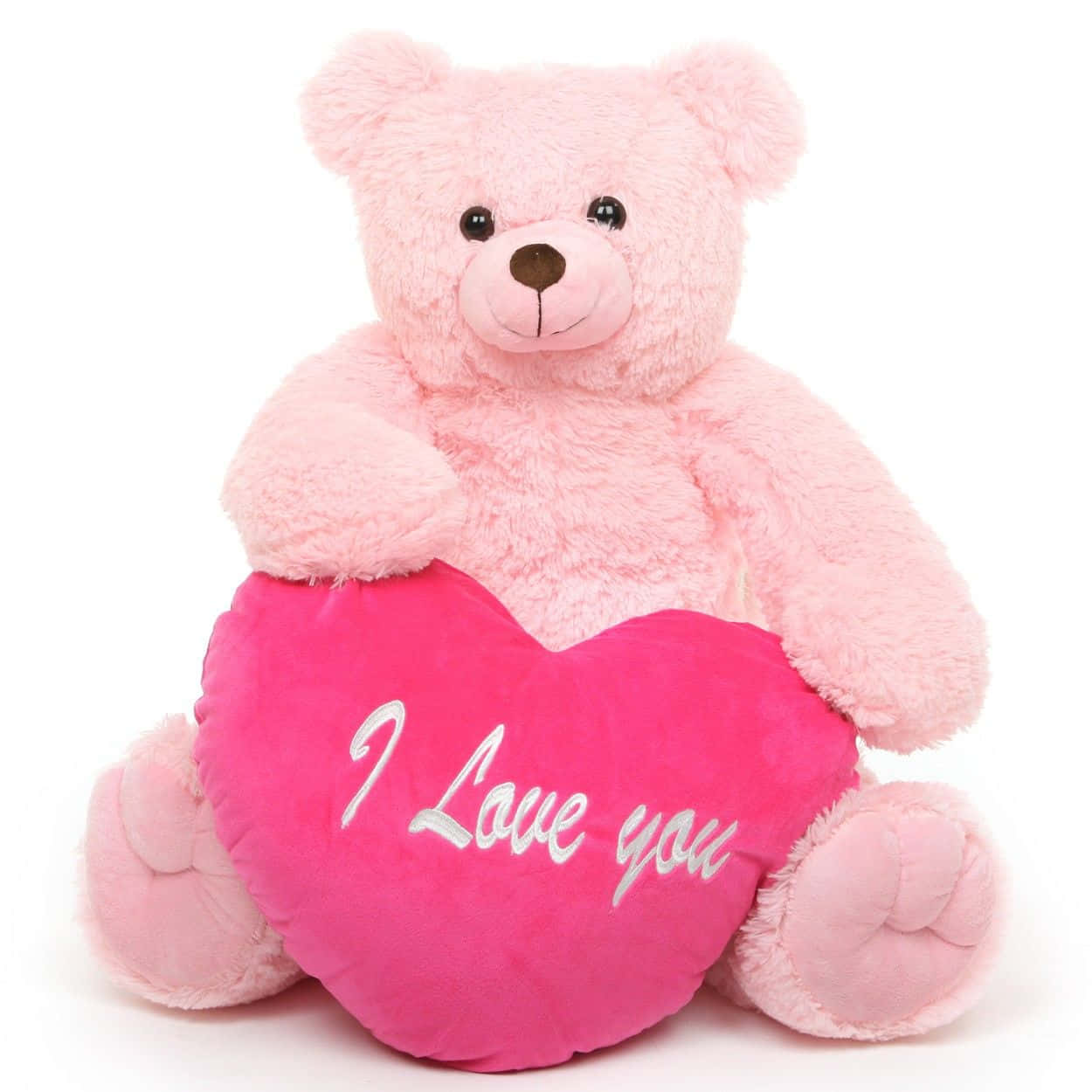 pink teddy bear, bright pink heart pillow, I Love you, SD Desktop Wallpaper