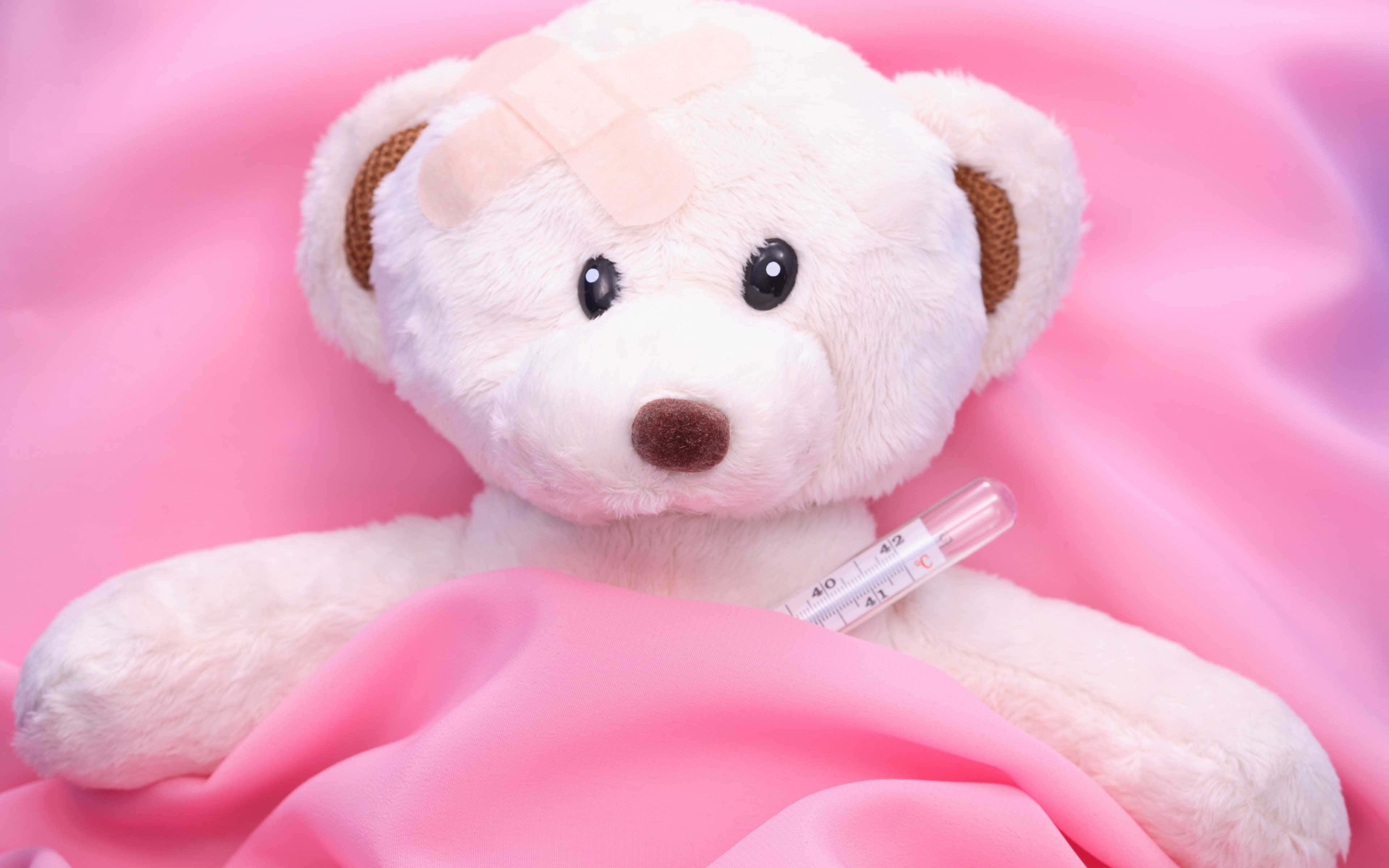 Pink Teddy Bear, Valentine's Day, white teddy bear, 4K Desktop Wallpaper