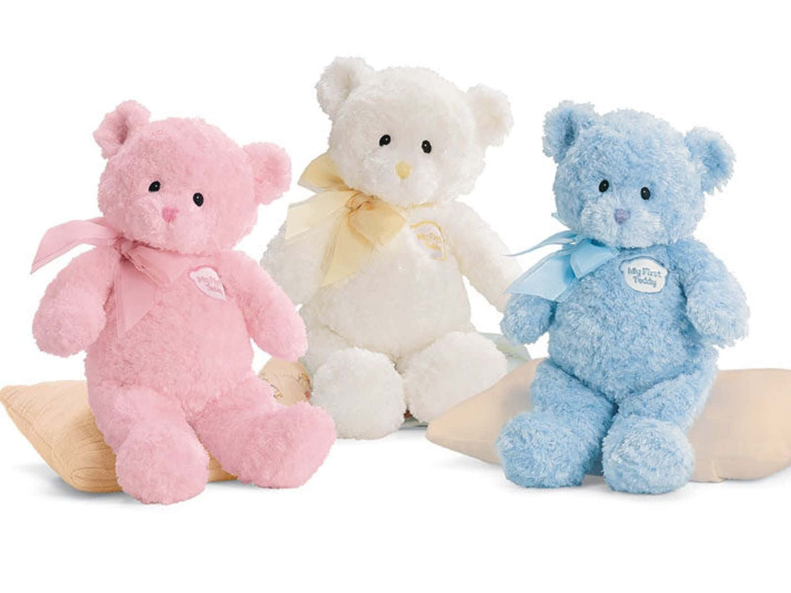 pink teddy bear, white background, vibrant blue background, HD Desktop Wallpaper