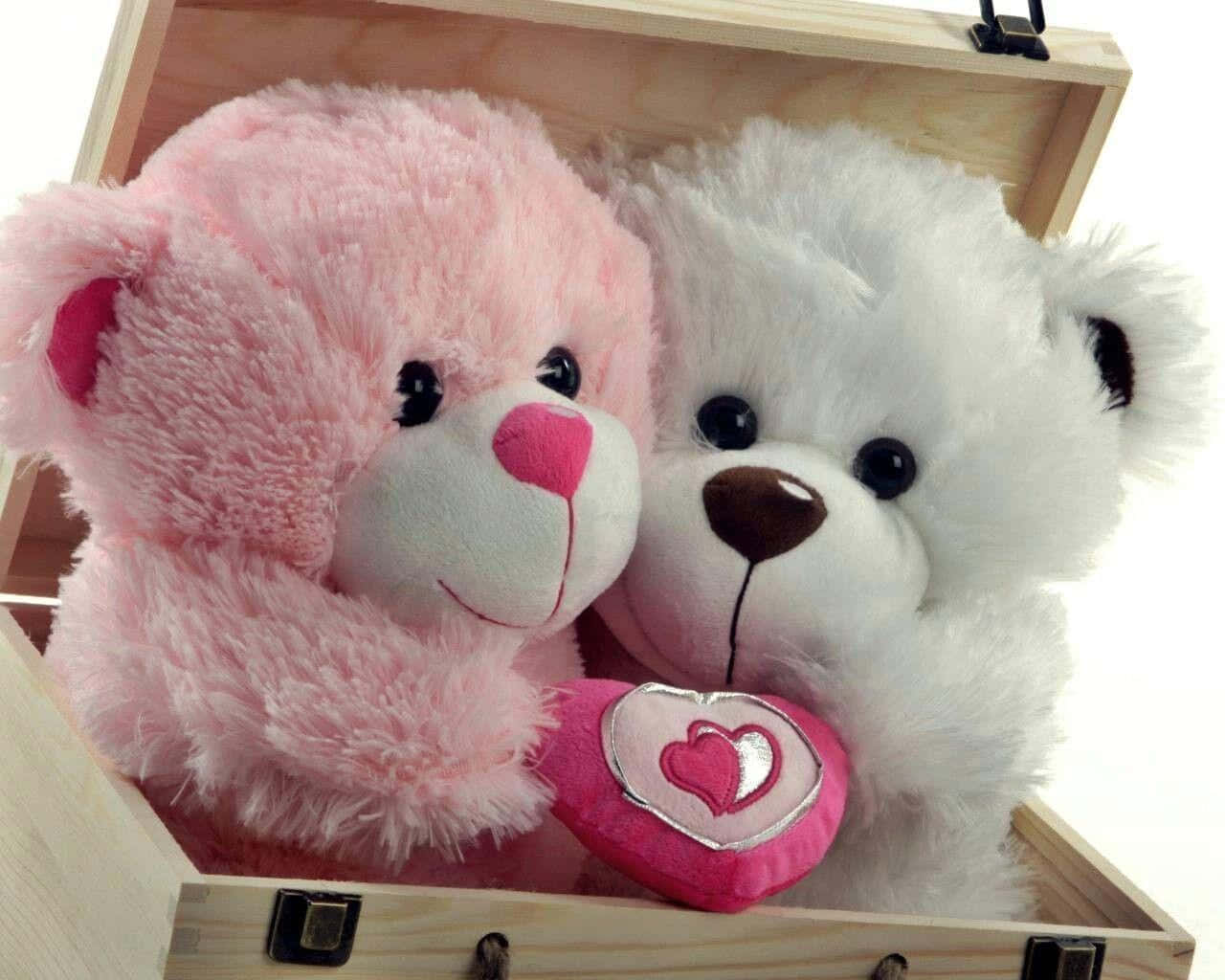 pink teddy bear, white cuddle, wooden box, HD Desktop Wallpaper
