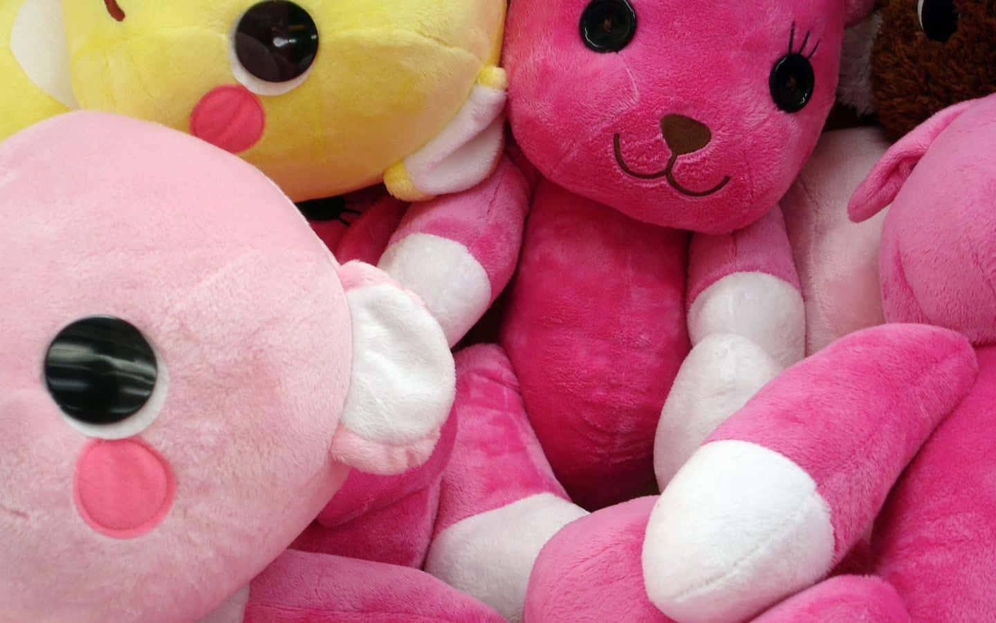 Pink Teddy Bear, Valentine's Day, pink, HD Desktop Wallpaper