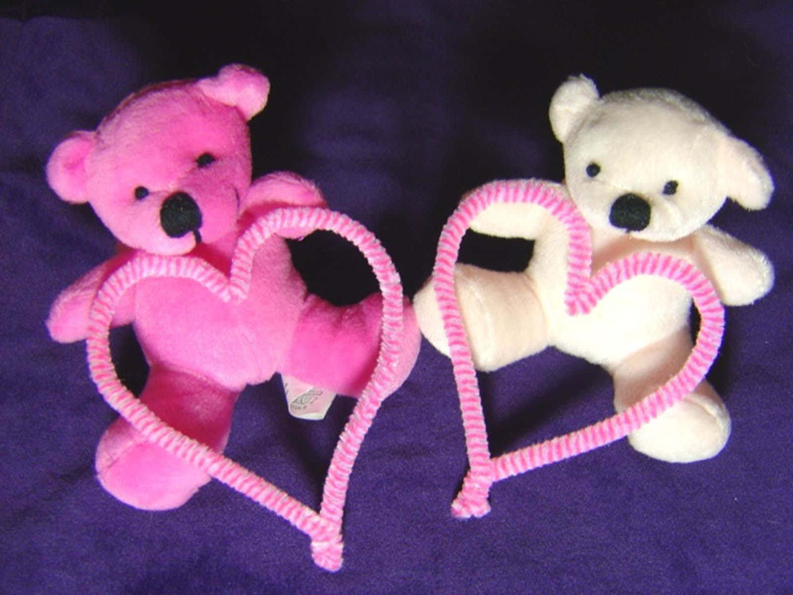 pink teddy bear, cream teddy bear, pink pipe cleaner heart, HD Desktop Wallpaper