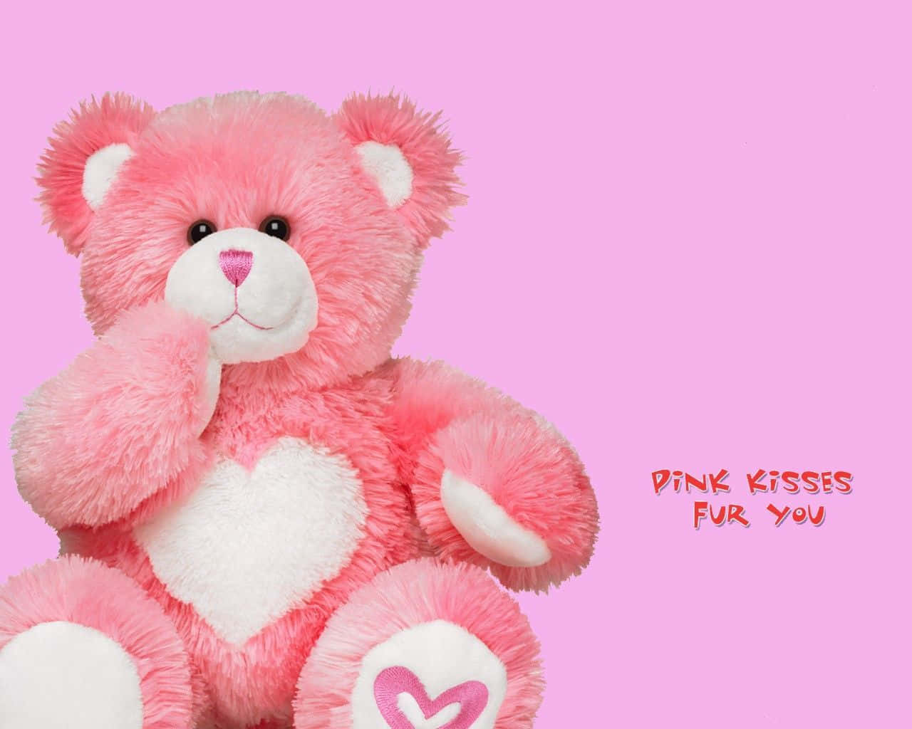 Pink Teddy Bear, Valentine's Day, fluffy pink teddy bear, HD Desktop Wallpaper