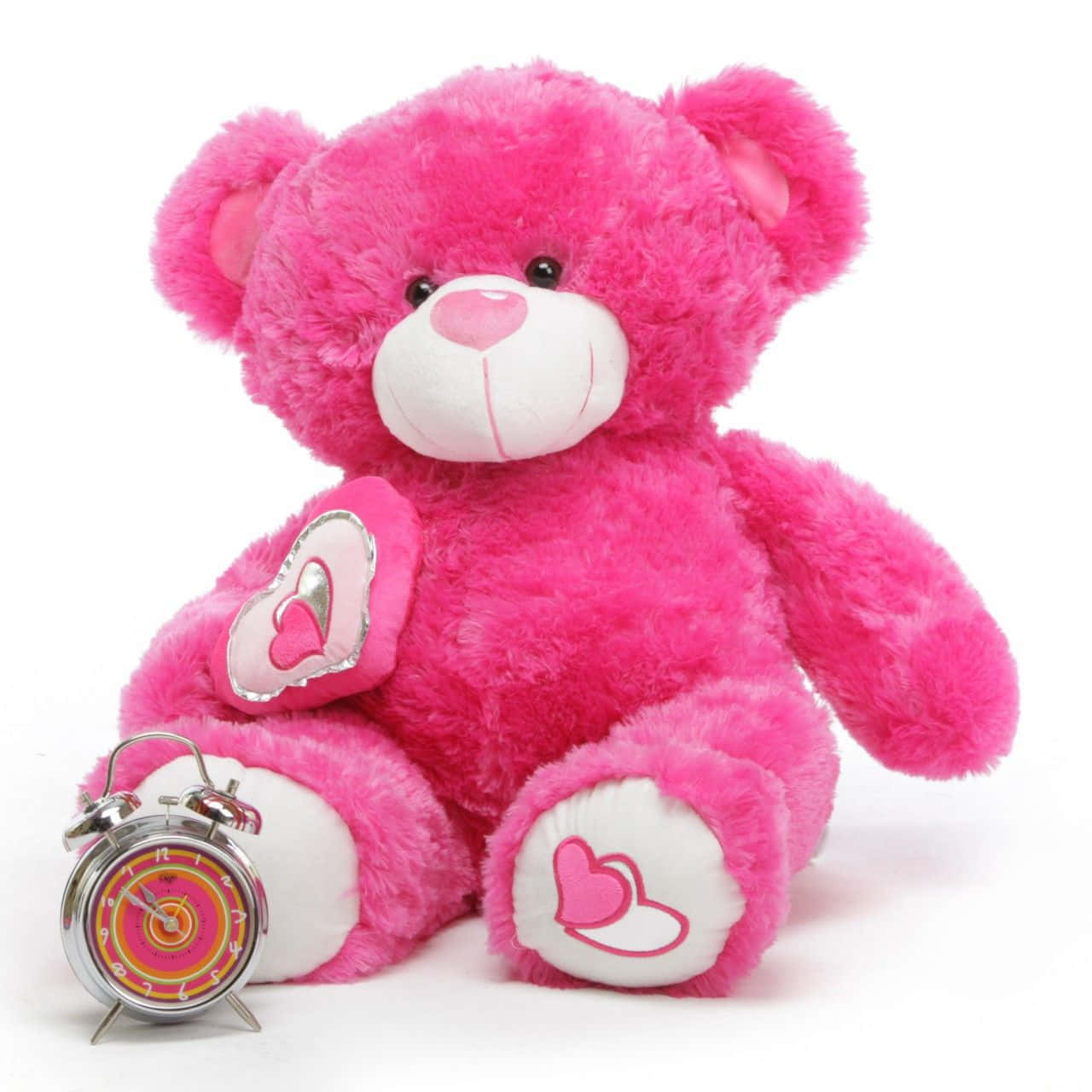 Pink Teddy Bear, alarm clock, fluffy pink teddy bear, HD Desktop Wallpaper