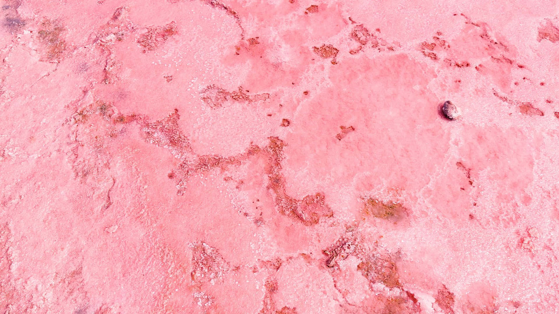 pink texture, vibrant pink salt flat, textured crystalline patterns, Full HD Desktop Wallpaper