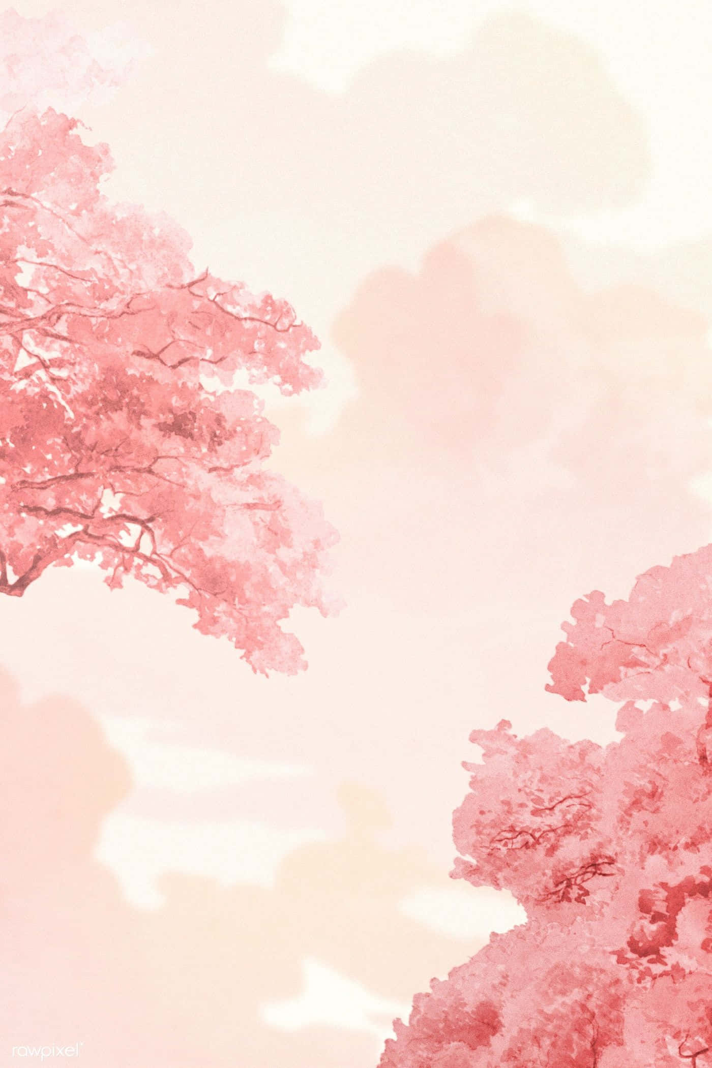 Pink Trees, pink cherry blossom trees, soft pastel sky, Full HD Phone Wallpaper