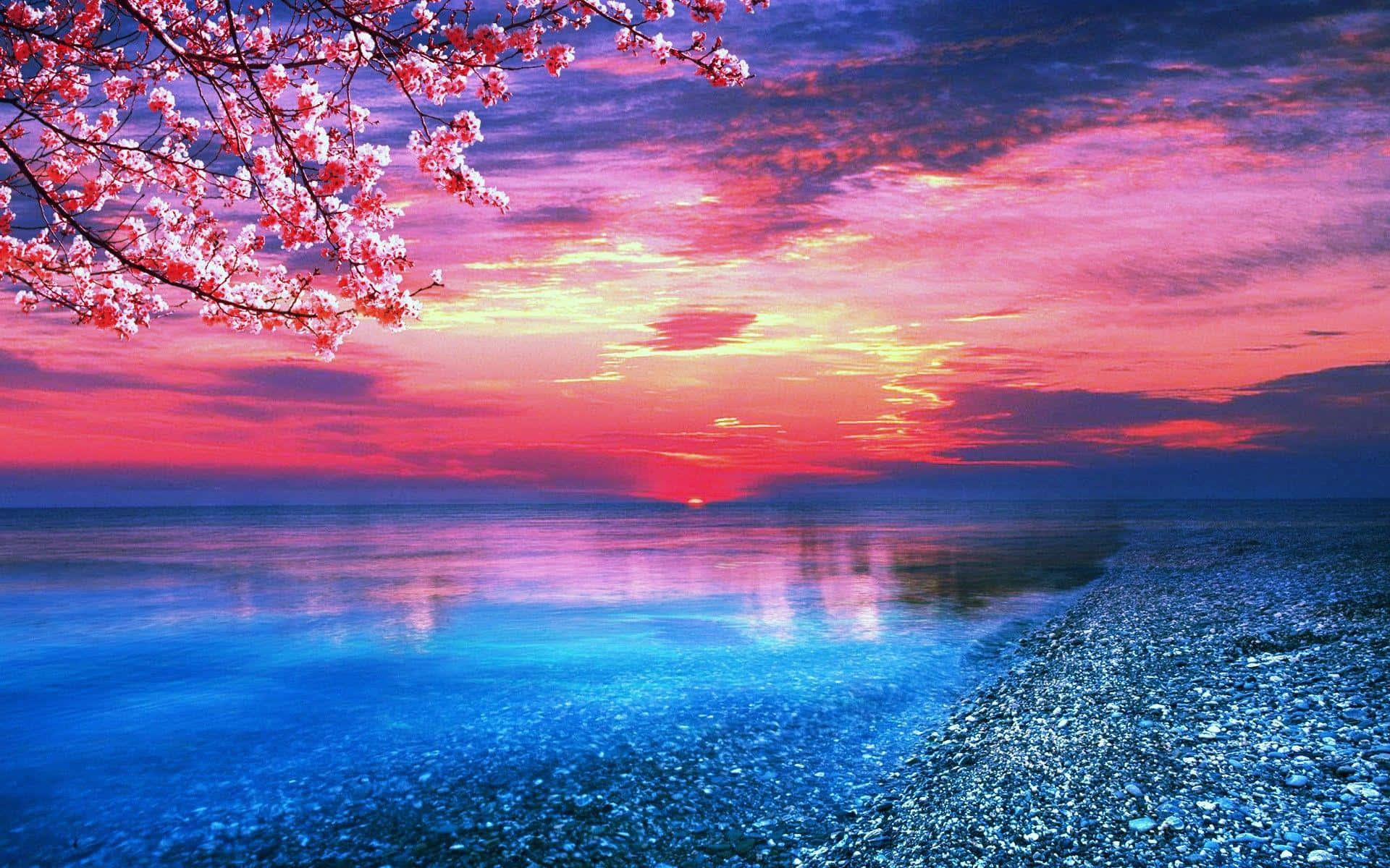 pink sunset, cherry blossoms, calm blue sea, Full HD Desktop Wallpaper